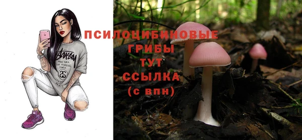 дживик Балабаново