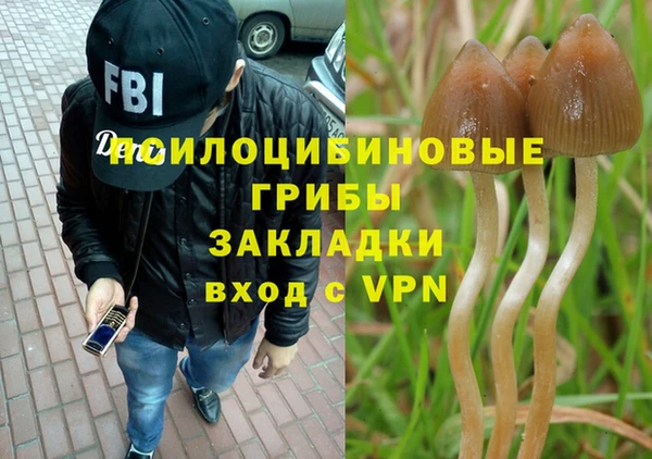 гашик Приозерск